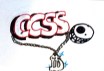 ccss2
