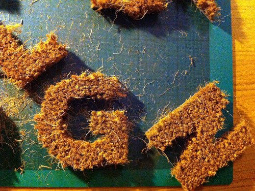 Welcoming Luisa Sieiro