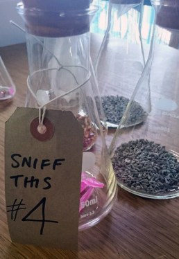 12016555_10153756581373968_633796915_n