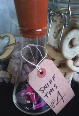 12033851_10153756581418968_1081901069_n