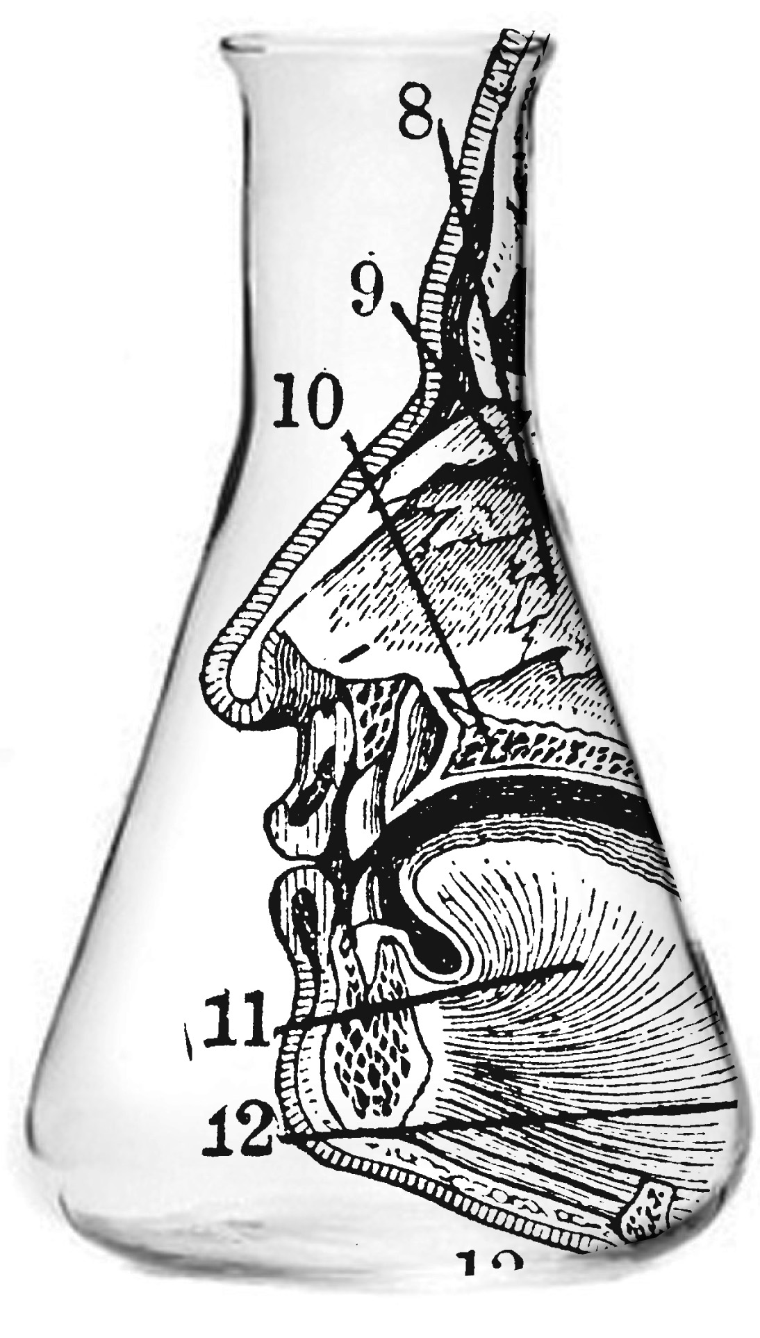 Wine and Type Tasting with Sarah Hyndman