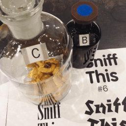 Screen Shot 2017-05-31 at 12.51.39